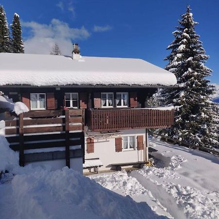 Chalet Grazia Riederalp Exterior photo