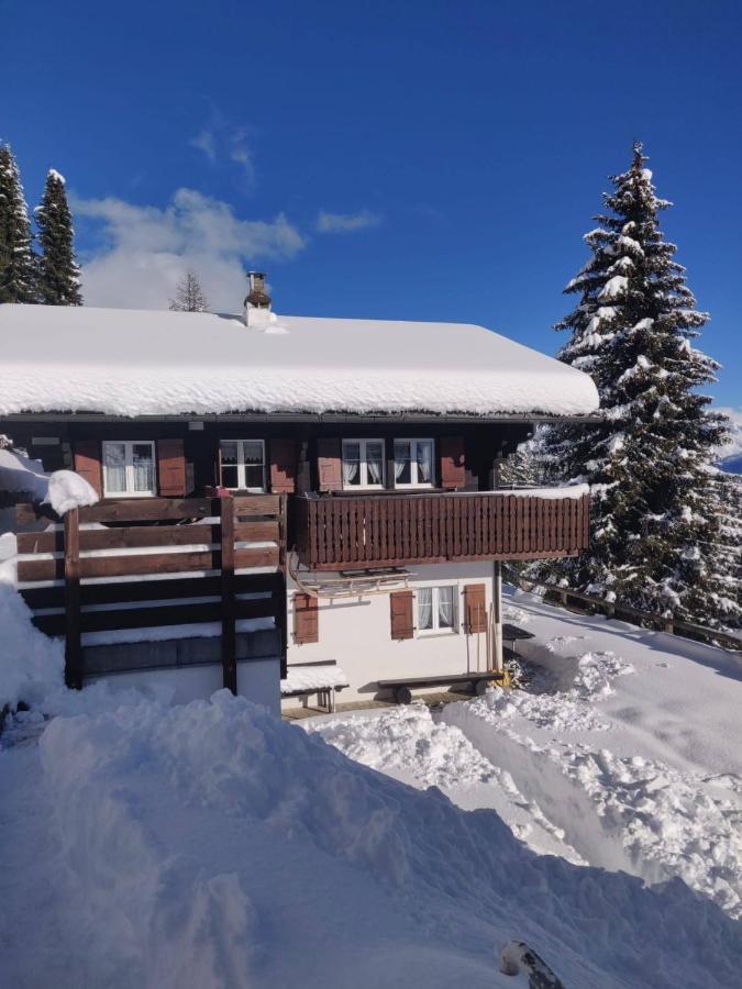 Chalet Grazia Riederalp Exterior photo